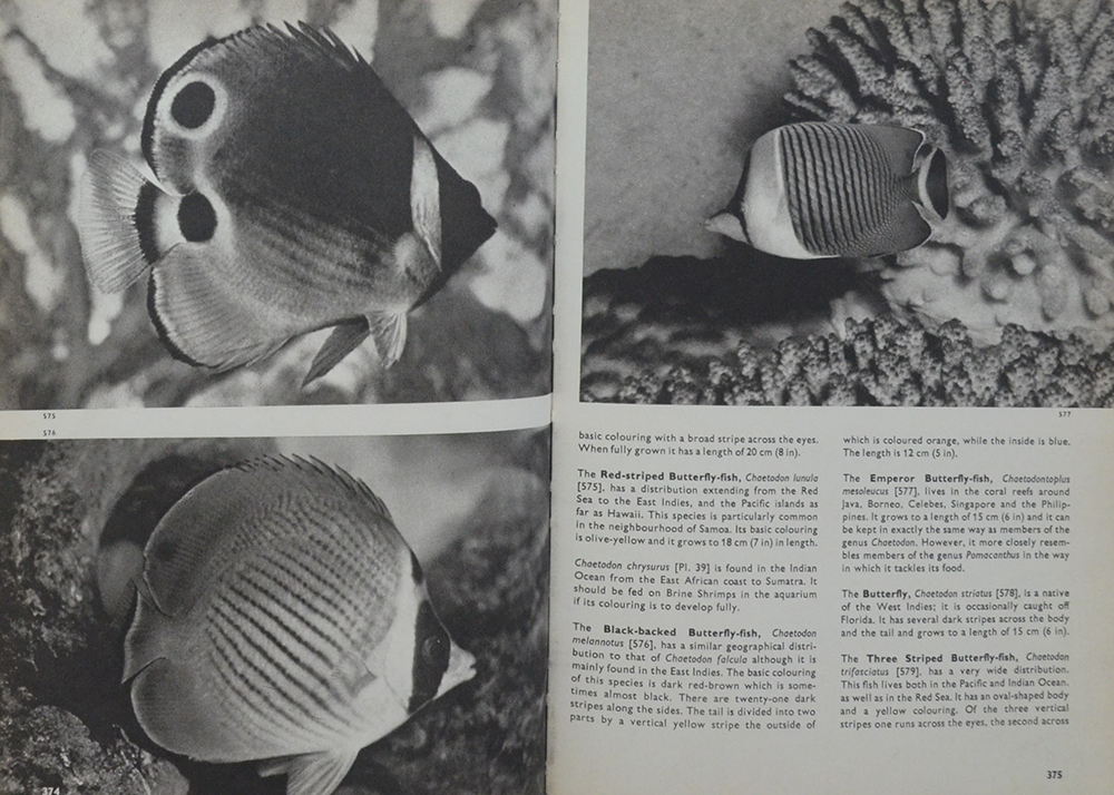 The Pictorial Encyclopedia of Fishes