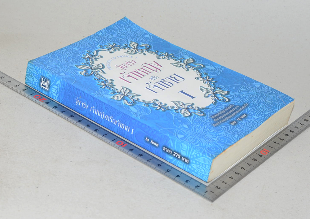 วุ่นจริง เจ้าหญิงหรือเจ้าชาย I (จบในเล่ม)