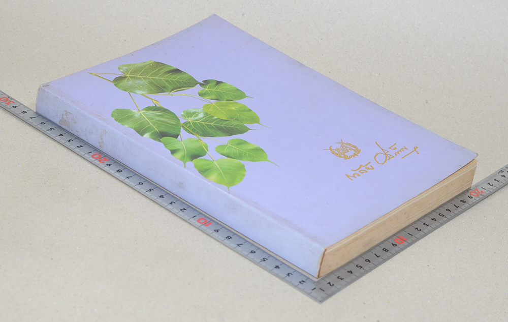 พลตรี ถวัลย์ ศรีเพ็ญ (นิทานโบราณคดี)