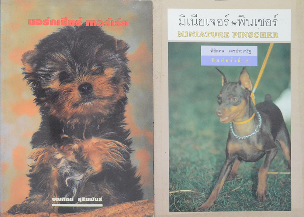 รวมเรื่อง (3 เล่ม)