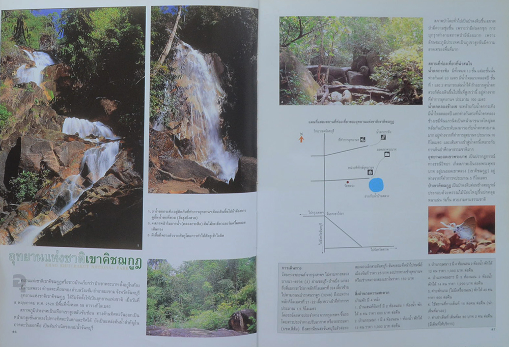 สมุนไพรในป่าฝน (เล่ม 1) (ขายตามสภาพ)