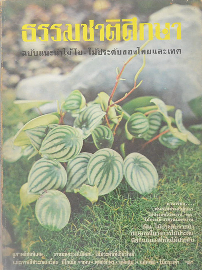ธรรมชาติศึกษา ฉบับแนะนำไม้ใบ-ไม้ประดับของไทยและเทศ