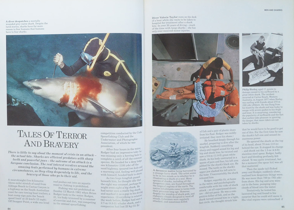 SHARKS Silent hunters of the deep