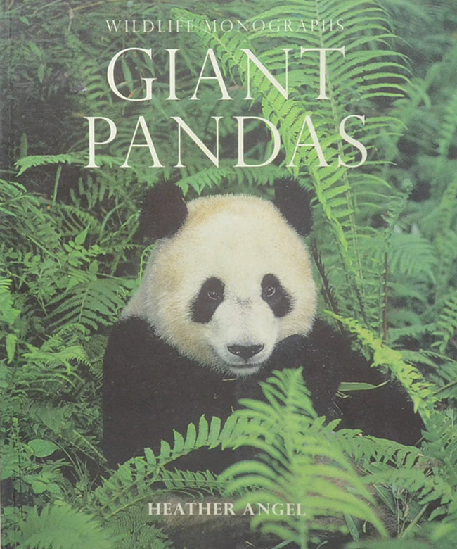 GIANT PANDAS