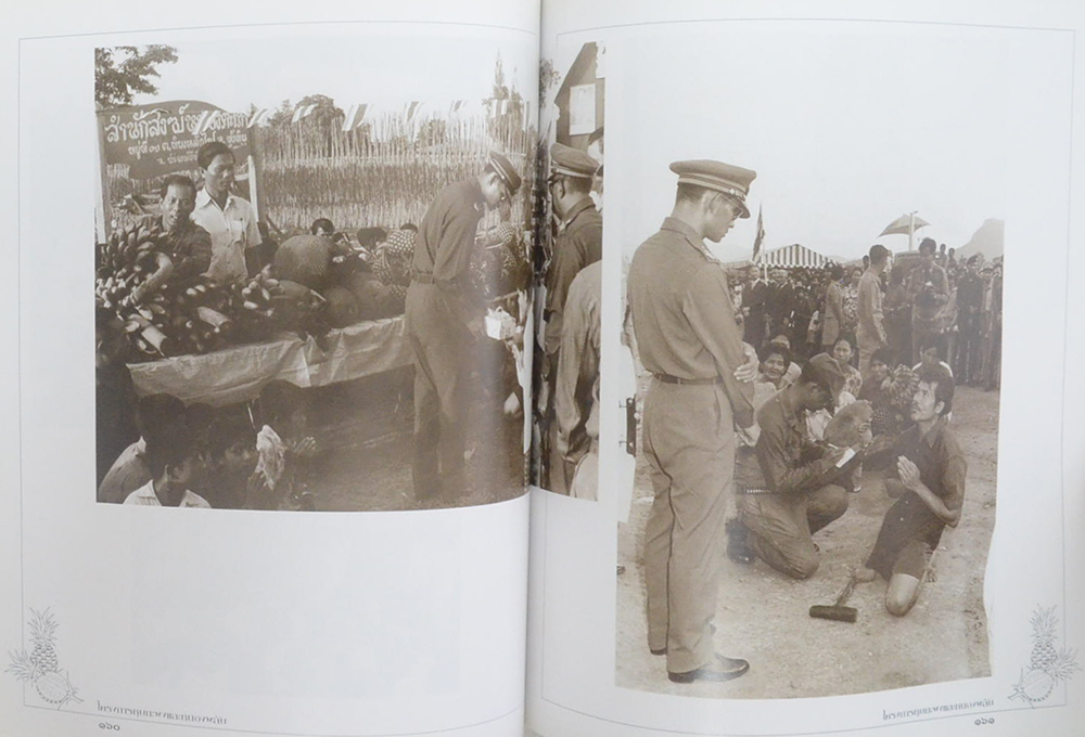 โครงการหุบกะพงและหนองพลับ