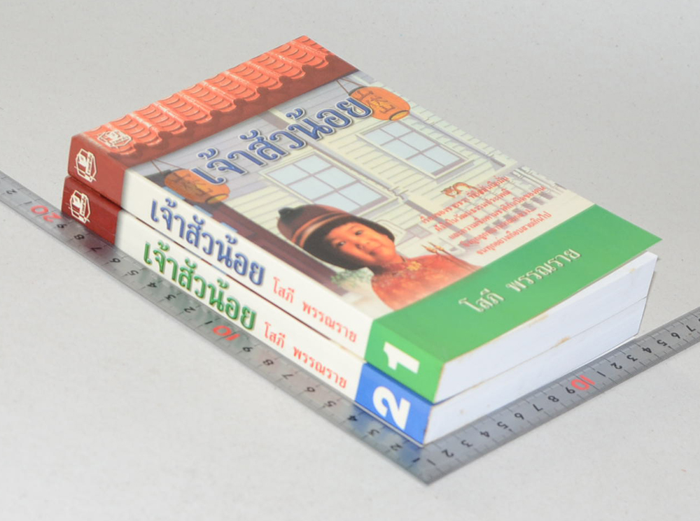 เจ้าสัวน้อย (2 เล่มจบ)