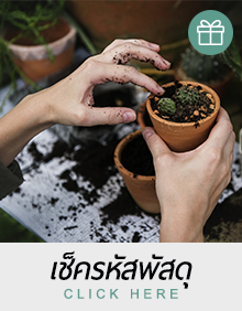 เช็ครหัสพัสดุ grow shop thailand Line id : @zjv8304o Phone : 087-783-9960
