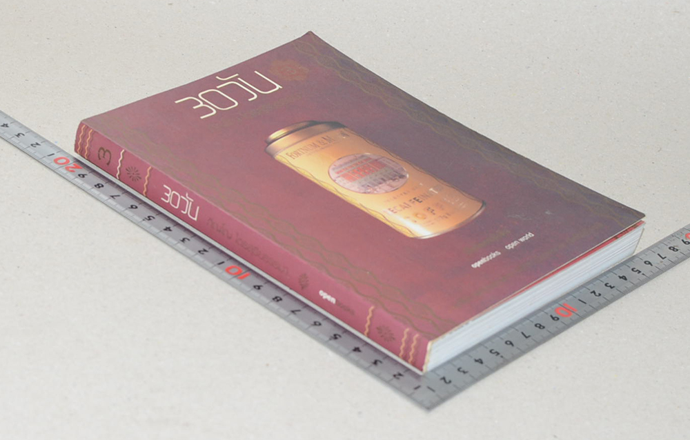 30 วัน (เล่ม 3)