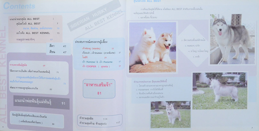 Siberian Husky All Best Kennel