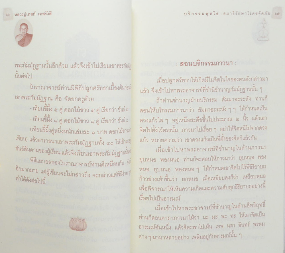 หลวงปู่เทสก์ เทสรังสี บริกรรมพุทโธ สมาธิรักษาโรค ขจัดภัย