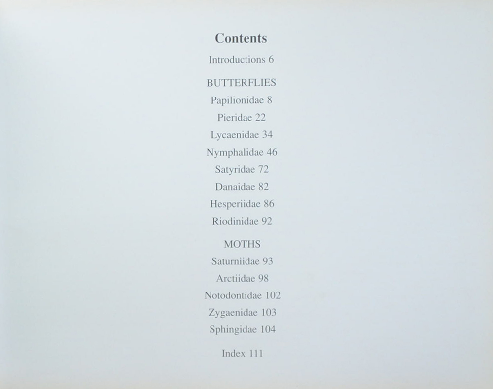 The Fascinating World of Butterflies & Moths