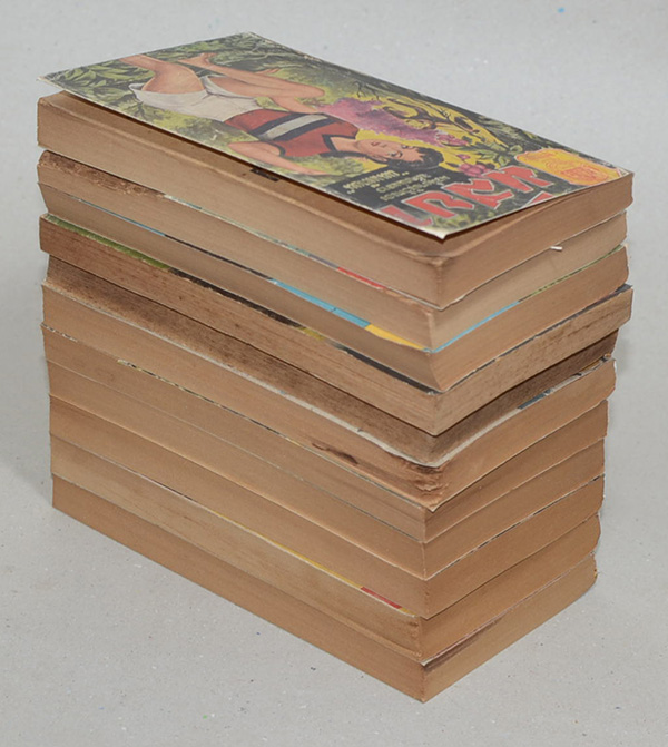 มัสยา (11 เล่มจบ / เล่มเล็ก)