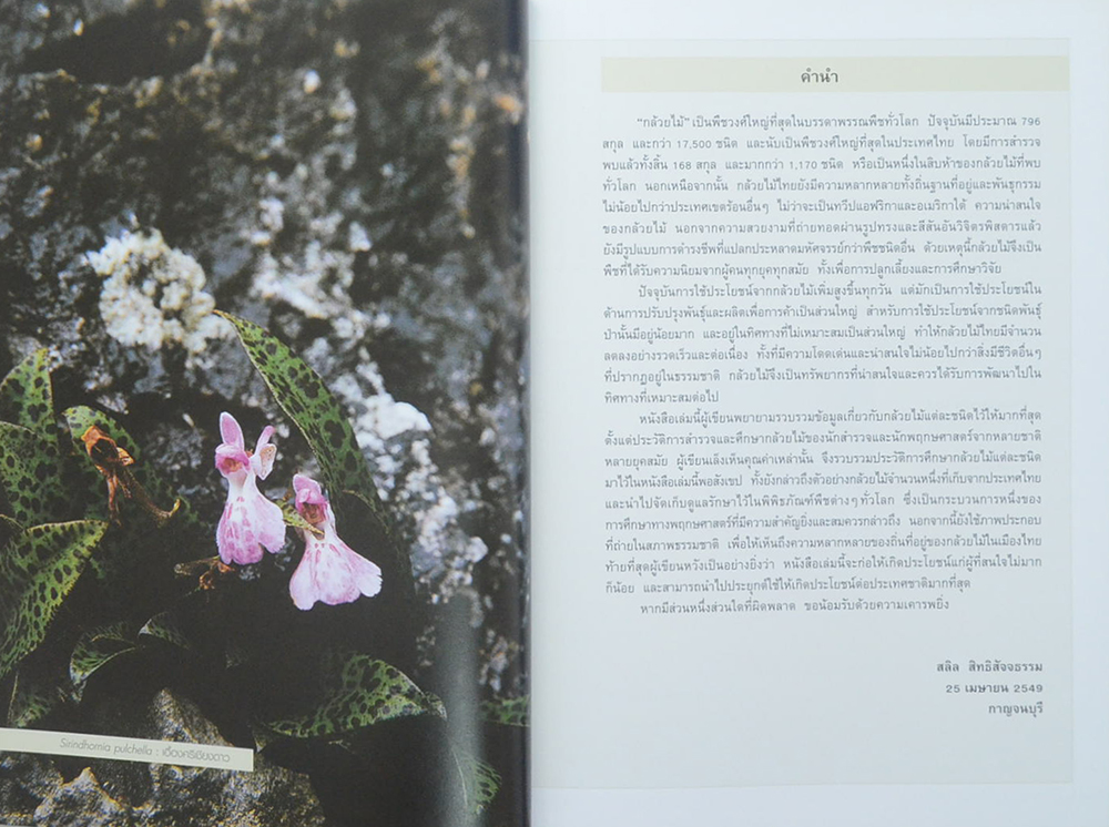 กล้วยไม้ป่าเมืองไทย