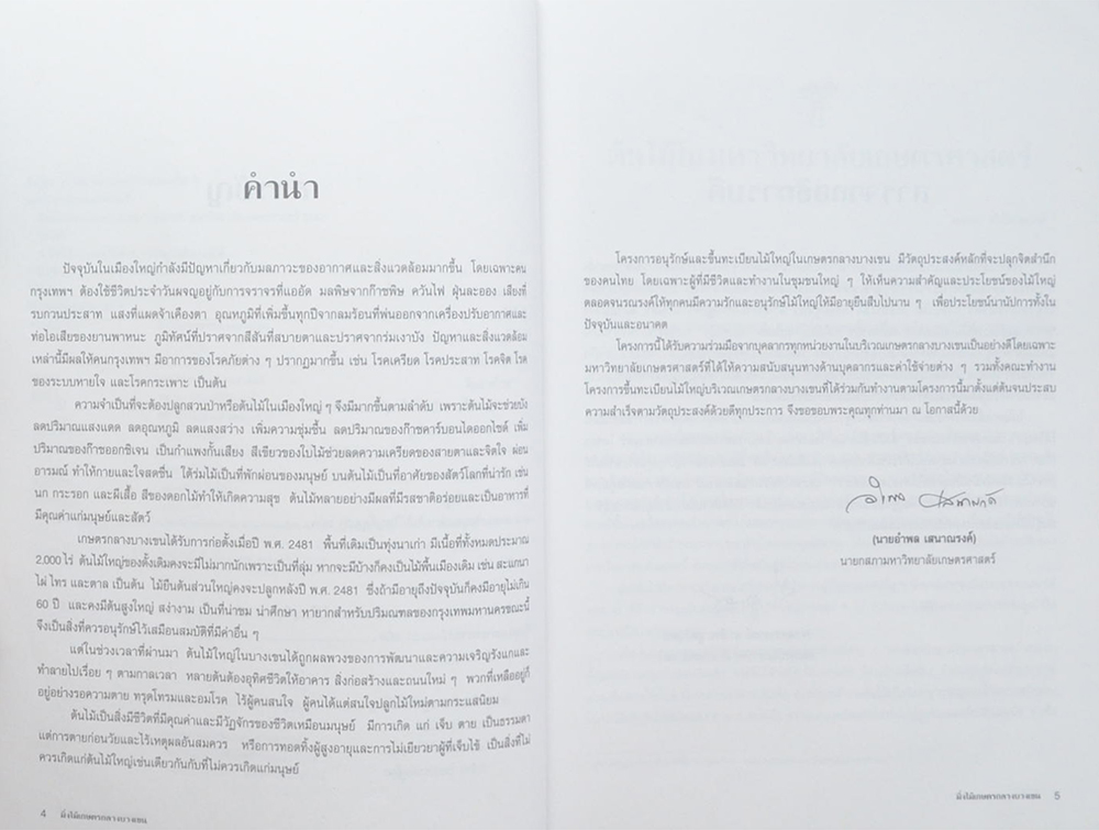 มิ่งไม้เกษตรกลางบางเขน (ขาตามสภาพ)