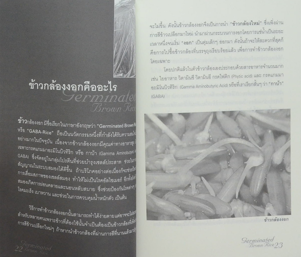 ข้าวกล้องงอก มหัศจรรย์พันธุ์ข้าวไทย