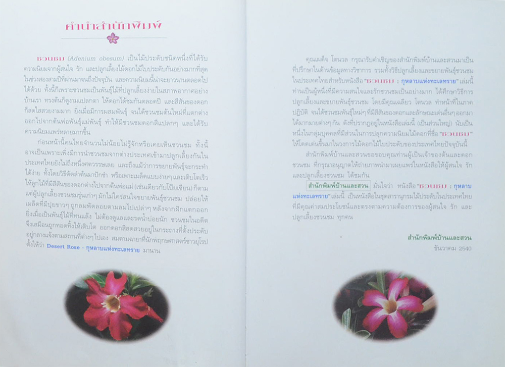 ชวนชม: กุหลาบแห่งทะเลทราย (ขายตามสภาพ)