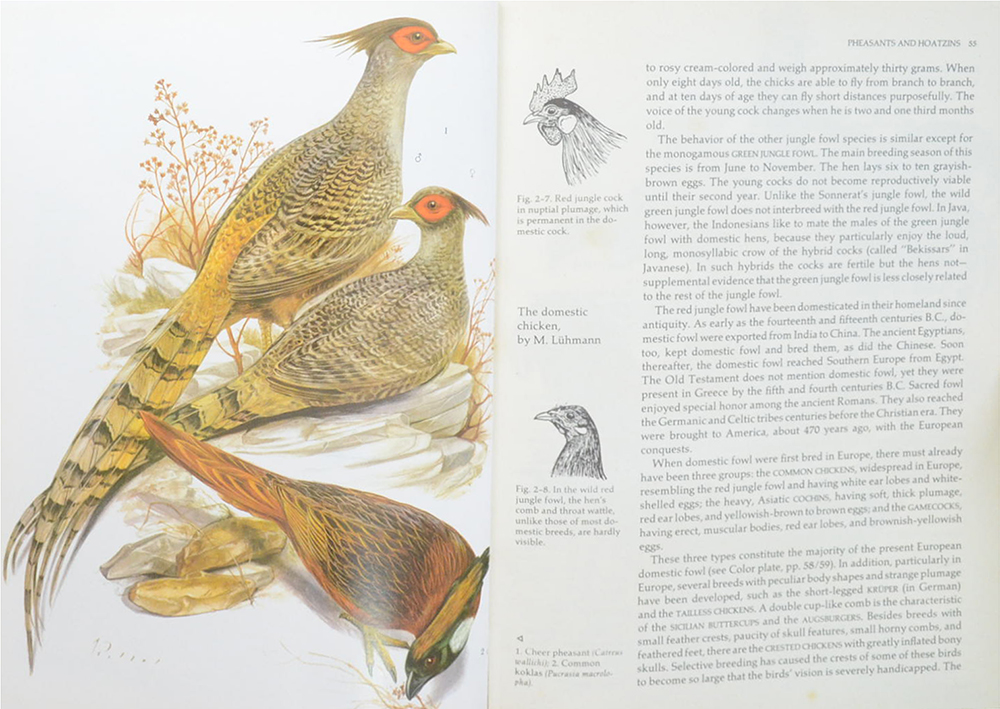 Grzimek’s ANIMAL LIFE ENCYCLOPEDIA