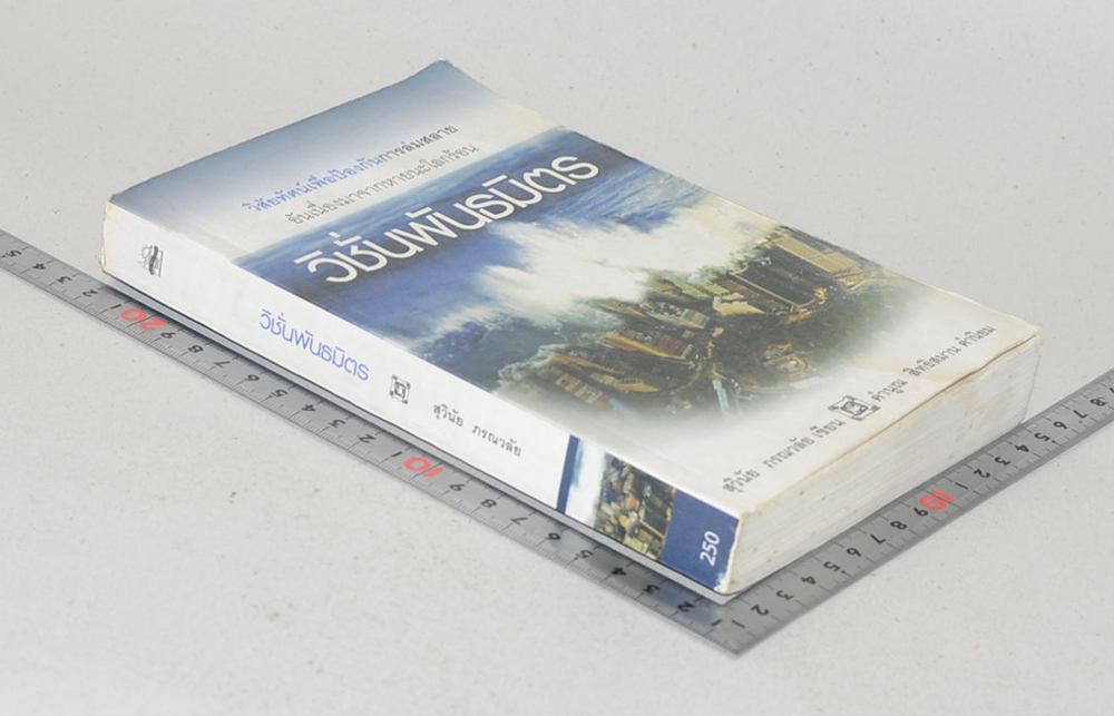 วิชั่นพันธมิตร (ขายตามสภาพ)