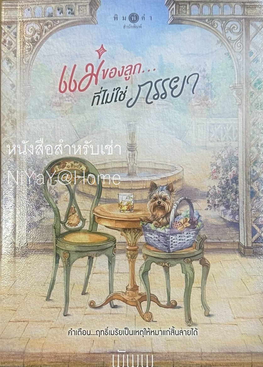แม่ของลูก...ที่ไม่ใช่ภรรยา