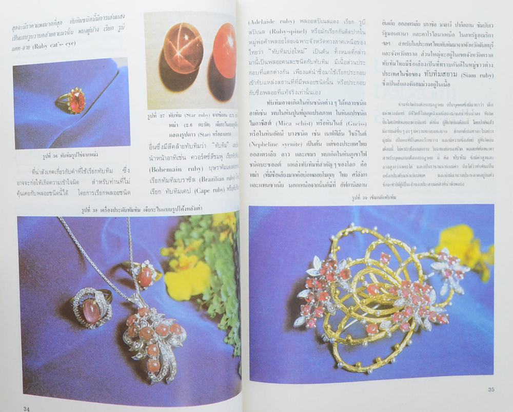 พลอย ประจำเดือนเกิด