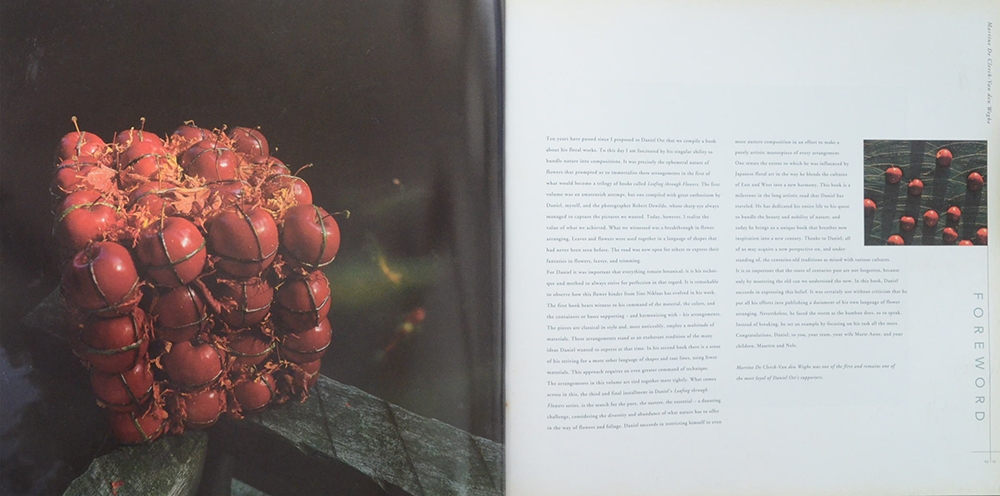 DANIEL OST LEAFING THROUGH FLOWERS