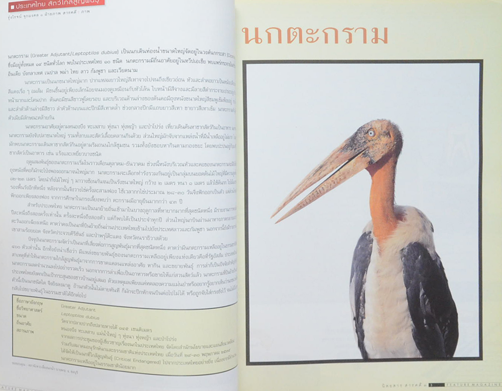 สารคดี ปีที่ 14 ฉบับที่ 168 กุมภาพันธ์ 2542