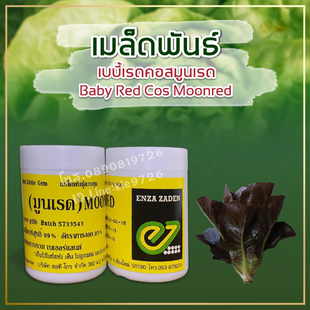เรดคลส แบบเคลือบ 1000 เมล็ด (ENZA)