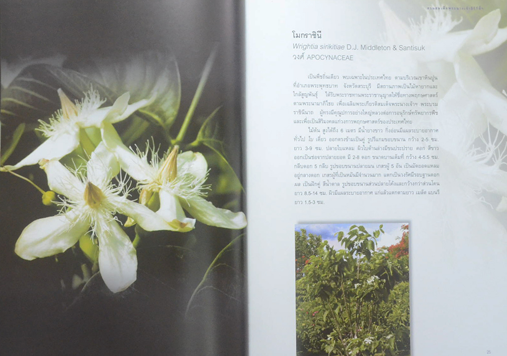 สวนสมเด็จพระนางเจ้าสิริกิติ์ (ขายตามสภาพ)