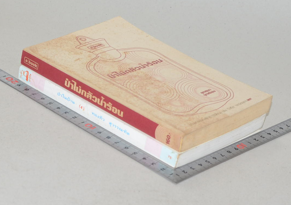 รวมเรื่อง (2 เล่ม)