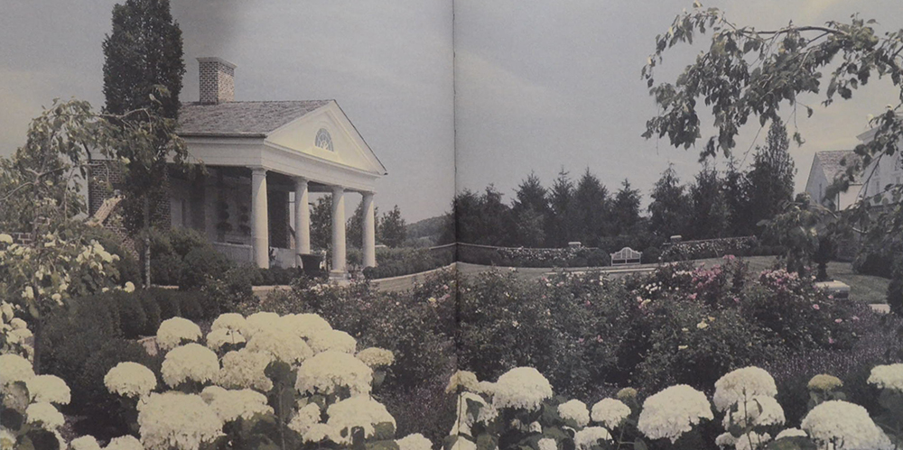 a Classical journey: the houses of Ken Tate