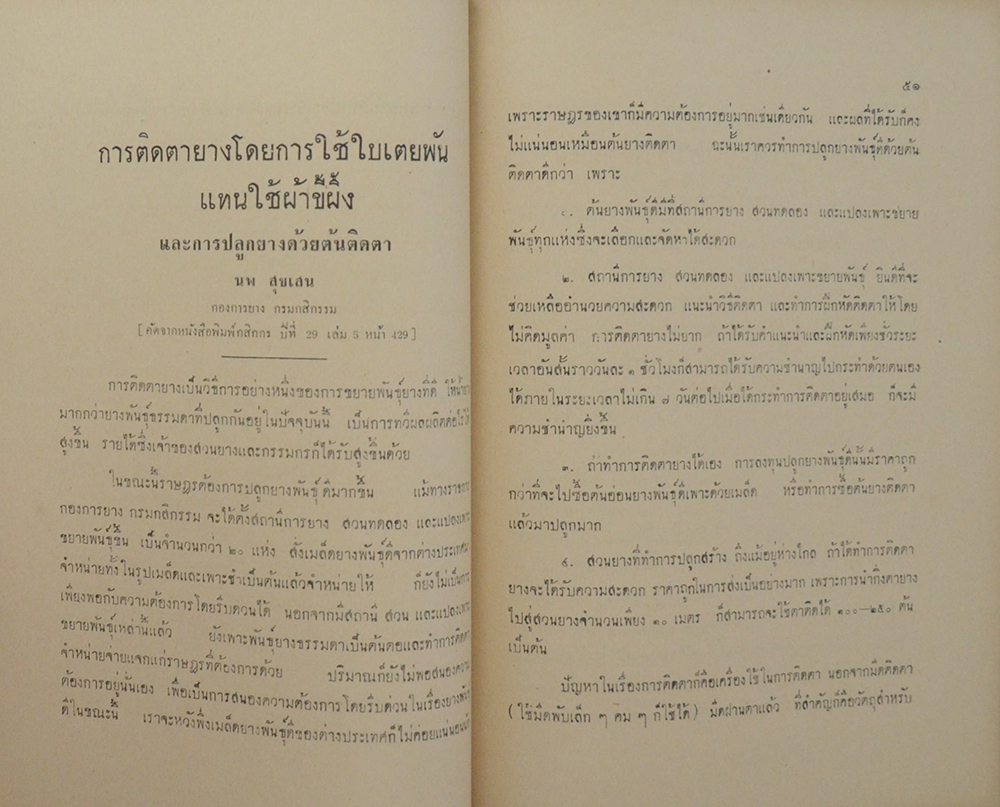 ลิลิตอนุสรณ์ (การปลูกพืชชนิดต่างๆแซมกับยางพารา)