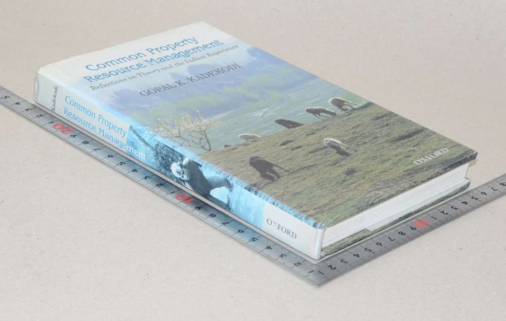 Common Property Resource Management