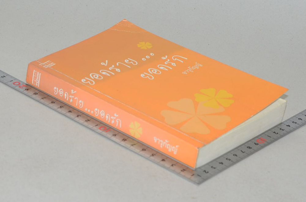 ยอดร้าย..ยอดรัก