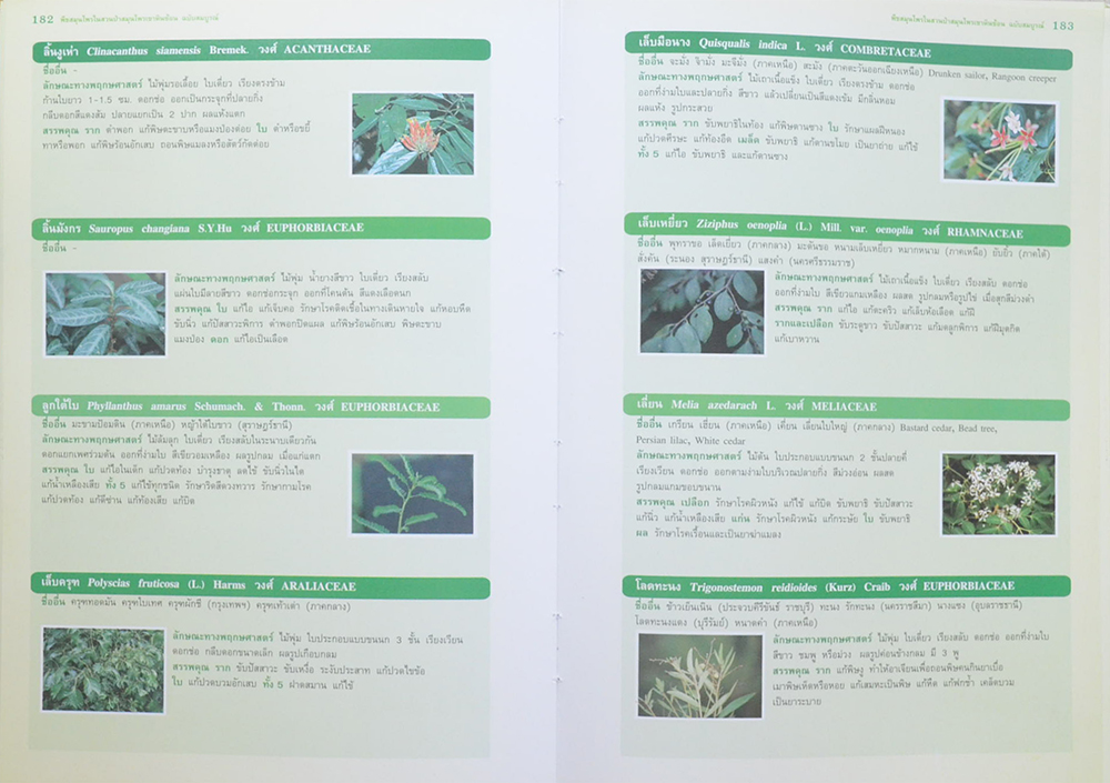 พืชสมุนไพรในสวนป่าสมุนไพรเขาหินซ้อน ฉบับสมบูรณ์ พ.ศ.2550 (ขายตามสภาพ)