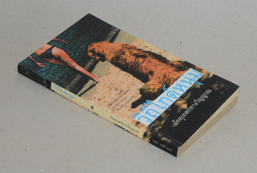 วิถีไกด์หนุ่ม (เล่มเล็ก)