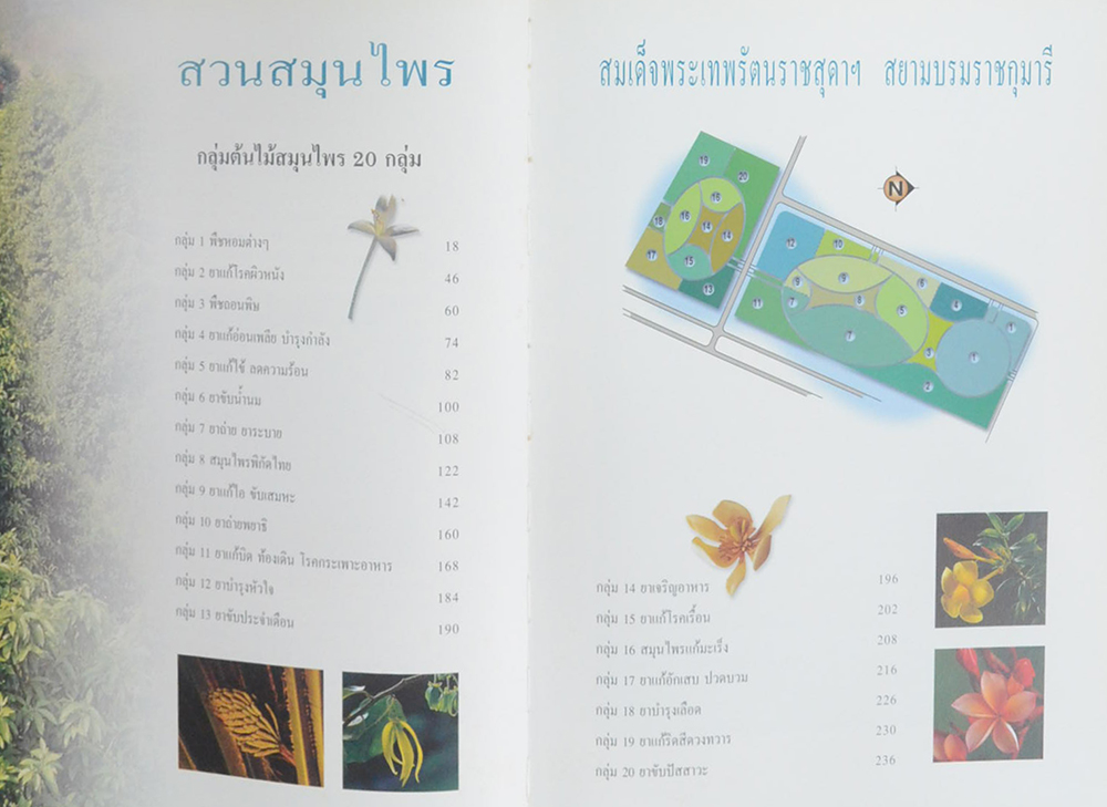 สมุนไพรไทย มรดกไทย