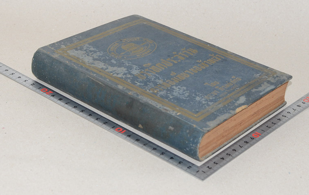 บรรทึกประจำวันการท่องเที่ยวของข้าพเจ้า