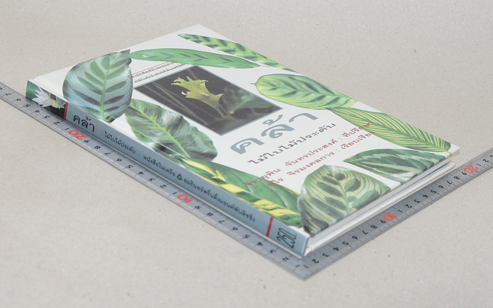 คล้า: ไม้ใบไม้ประดับ