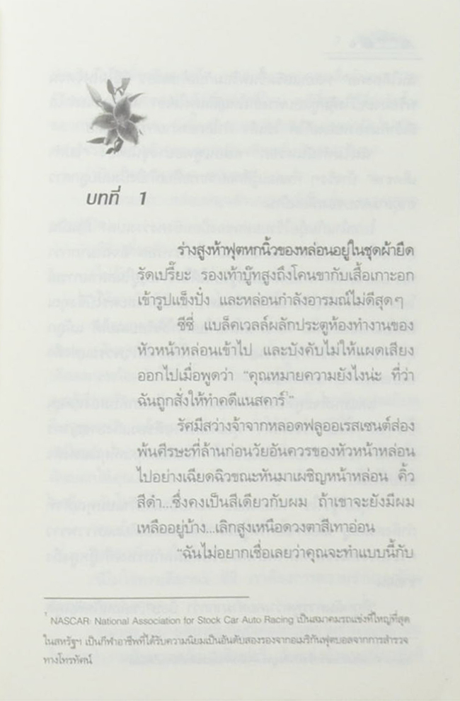 ปมพยาบาท (เล่มเดียวจบ)