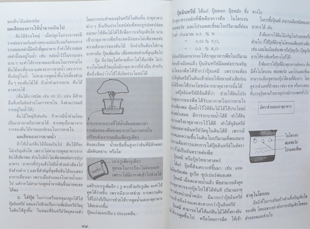 ถวิล เจนพานิชการ (การครองเรือน)