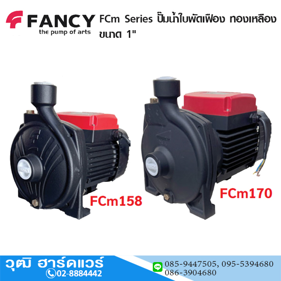 FANCY FCm Series ปั๊มน้ำใบพัดปิด ทองเหลือง 1" 220V