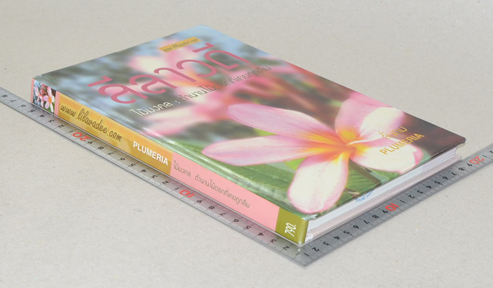 ลีลาวดี ไม้มงคล: ตำนานไม้ดอกที่เคยถูกลืม (ขายตามสภาพ)