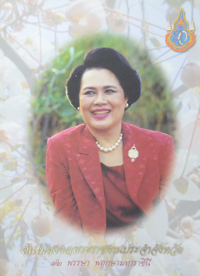ต้นไม้มงคลพระราชทานประจำจังหวัด (ขายตามสภาพ)