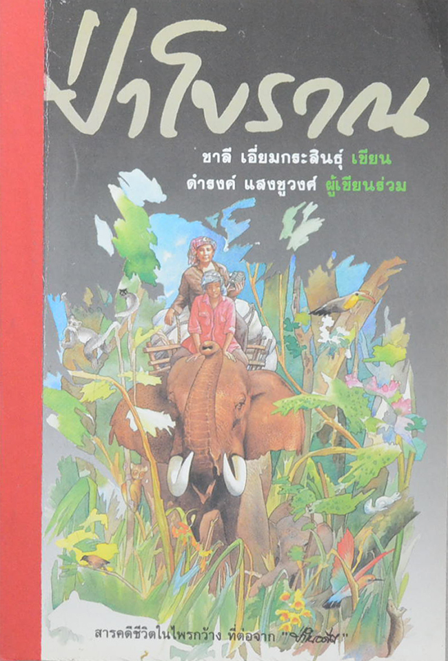 ป่าโบราณ (ขายตามสภาพ)