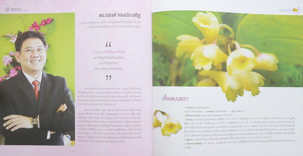 ชีวิตงาม กล้วยไม้ไทย (ขายตามสภาพ)