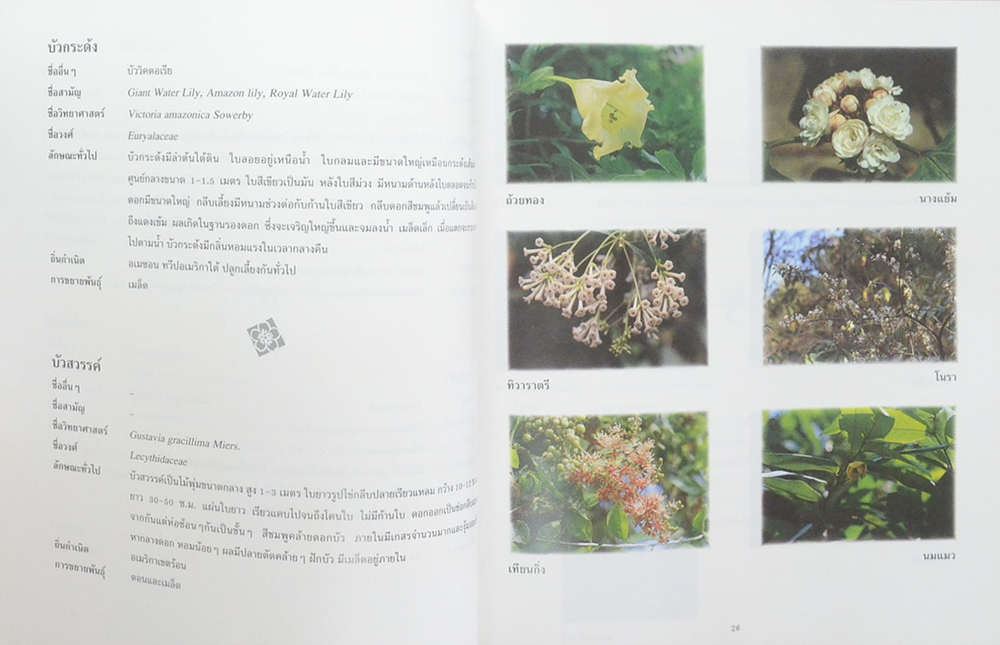 ดอกไม้หอม