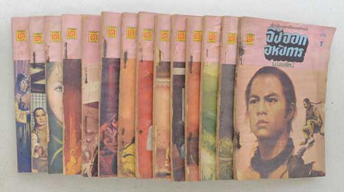 จิ้งจอกอหังการ (14 เล่ม / ไม่จบ)