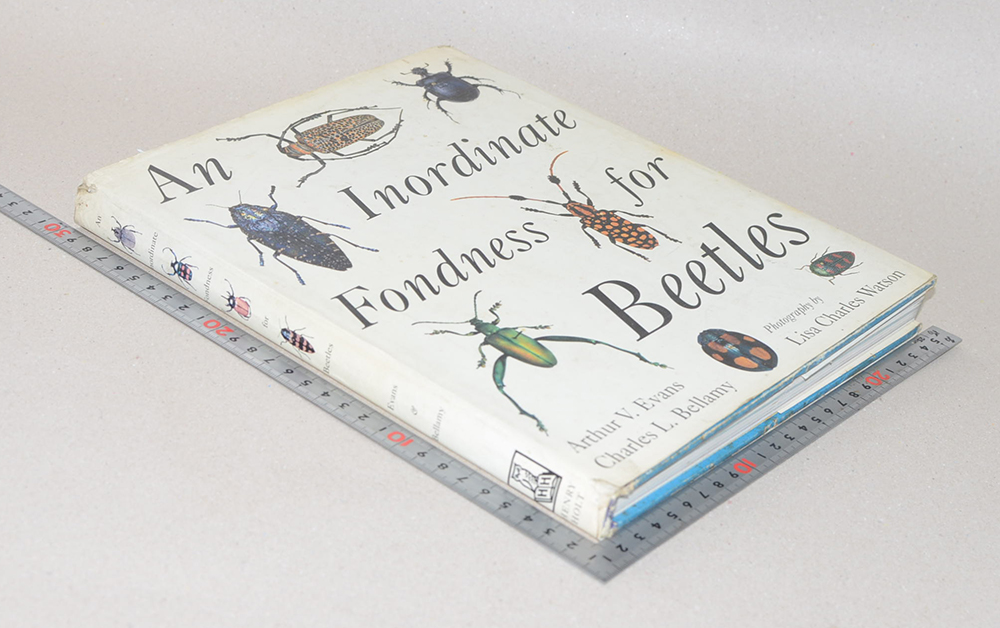 An Inordinate Fondness for Beetles