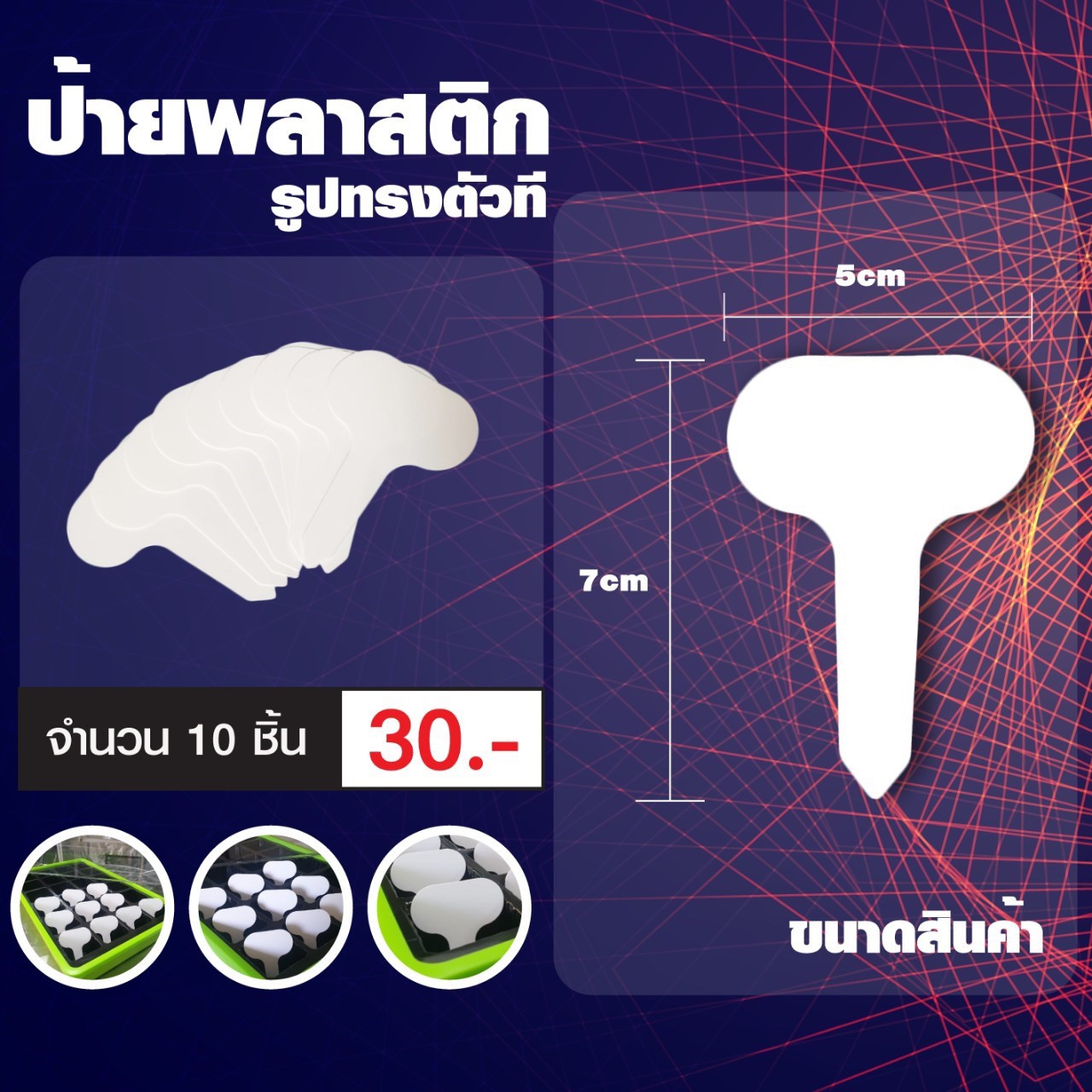 ป้ายเขียนชื่อต้นไม้ แทคติดต้นไม้ ป้ายห้อยต้นไม้ รูปทรงตัวที ชุดละ 10 ชิ้น