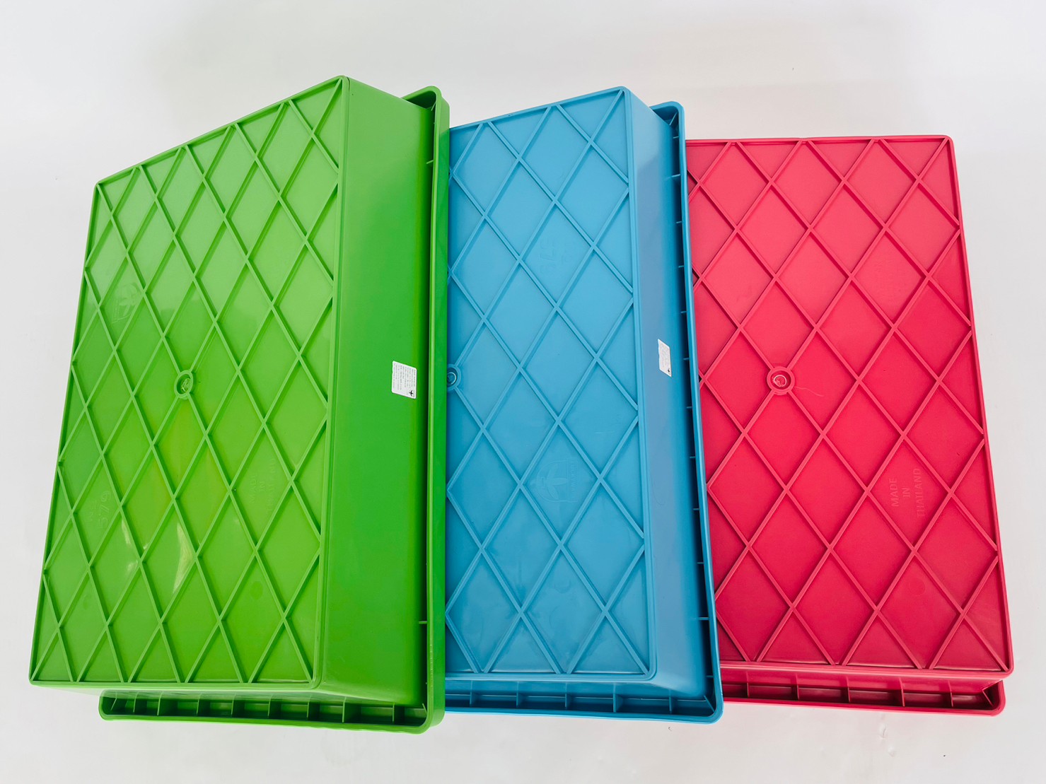 ชมพู ฟ้า เขียว